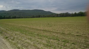 IMG_20130616_113122_416