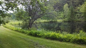 IMG_20130616_114645_540