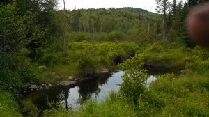 IMG_20130616_122129_022