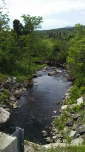 IMG_20130616_123436_358