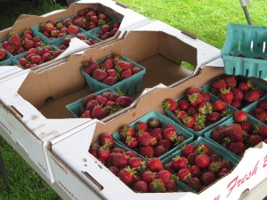 Maidstone Strawberries for sale at the Lancaster Farmers' Market, today.