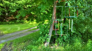 IMG_20130704_091918_674