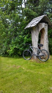 IMG_20130704_105230_774