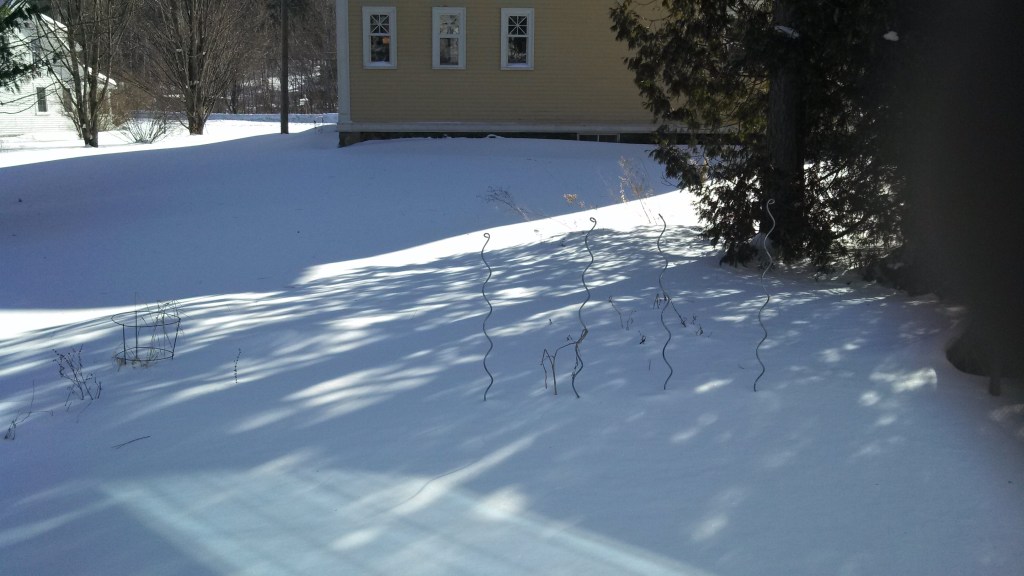 IMG_20140217_143036_738