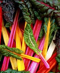 Swiss Chard, I Can't Wait.
