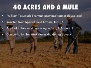 hmy7Nmwwsc_1399142816204