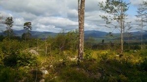 IMG_20150828_100353_166