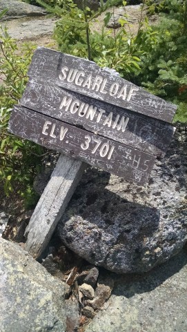 IMG_20160808_120638397