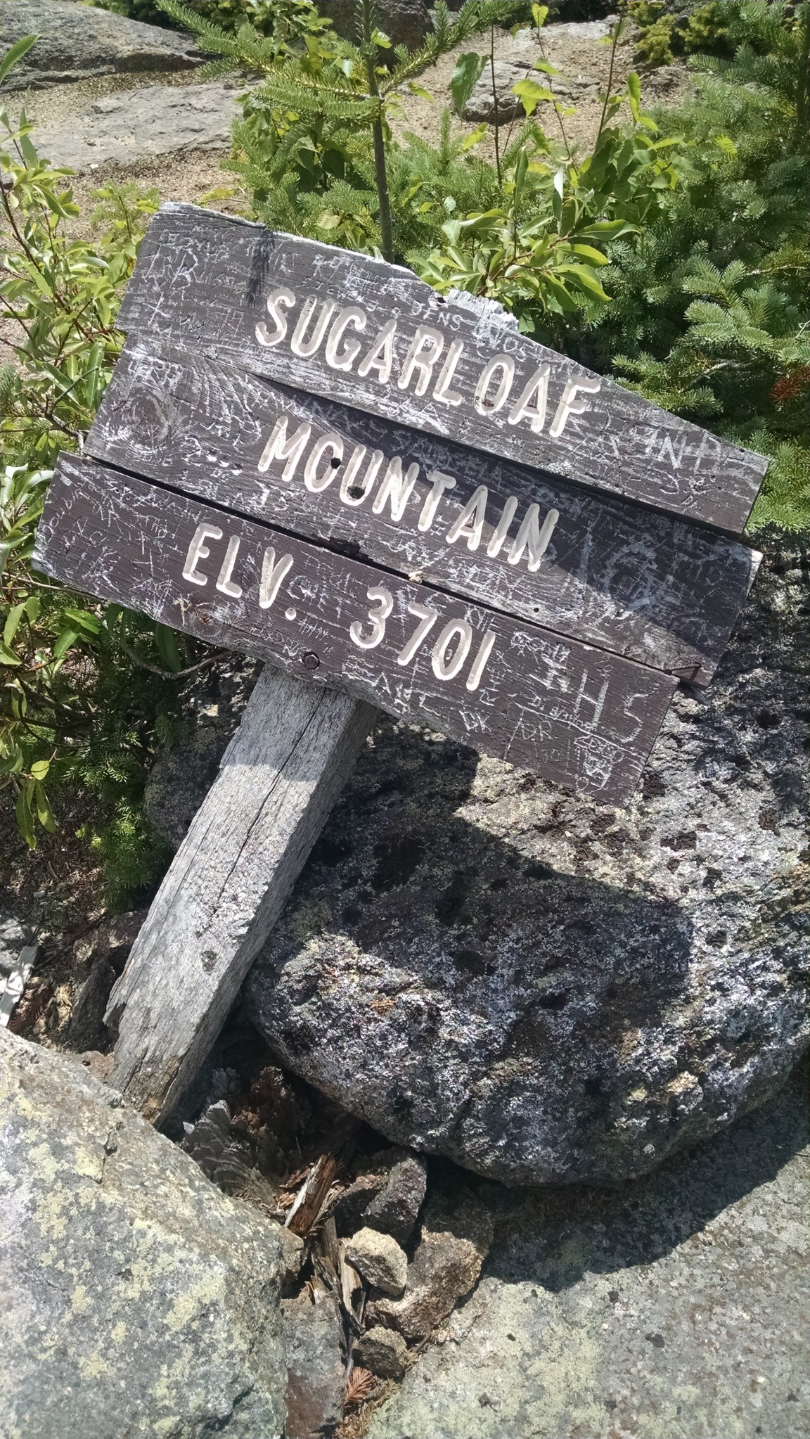 IMG_20160808_120638397