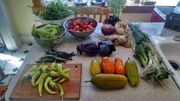 IMG_20160819_094559752_HDR