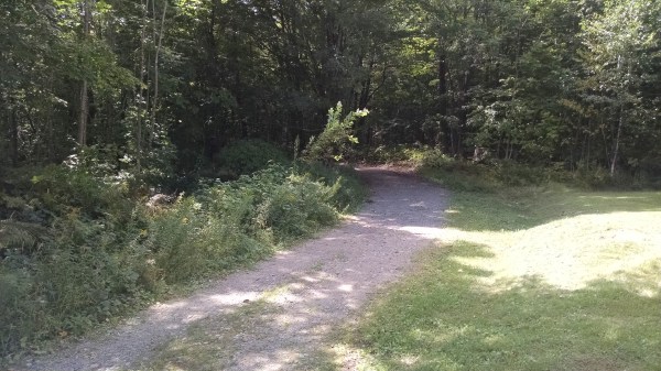 IMG_20160823_132529245