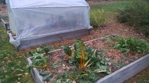 img_20181021_1549499142