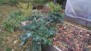 img_20181021_155004640