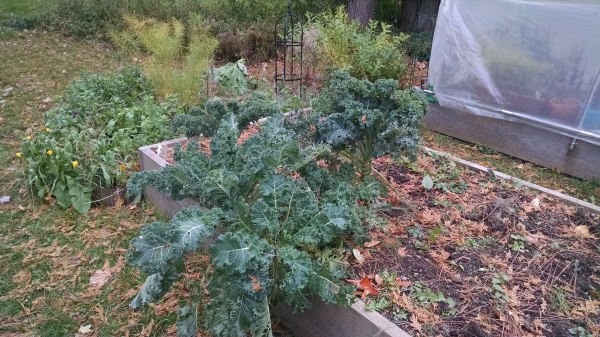 img_20181021_155004640